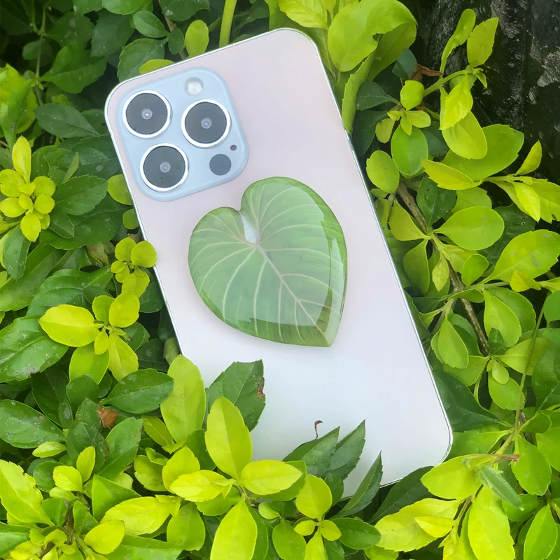 🌿 Plant Leaf Acrylic Phone Grip – Retractable, Stylish & Universal! 🌿