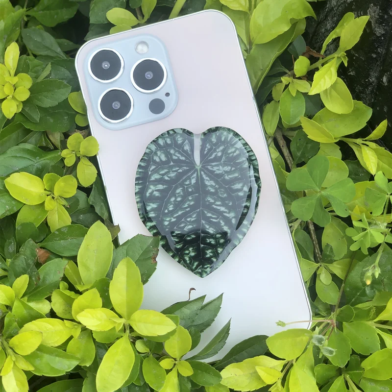 🌿 Plant Leaf Acrylic Phone Grip – Retractable, Stylish & Universal! 🌿