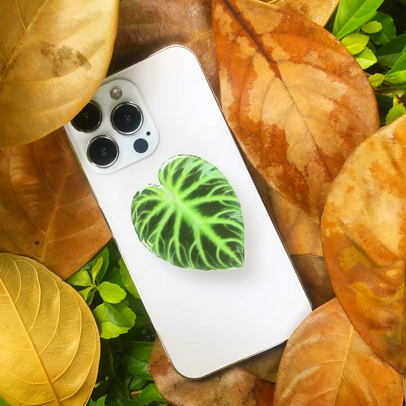 🌿 Plant Leaf Acrylic Phone Grip – Retractable, Stylish & Universal! 🌿